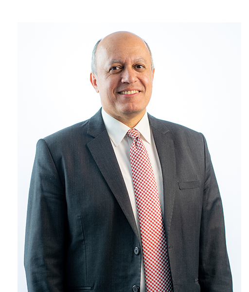 Prof. Amr M.E. Safwat 